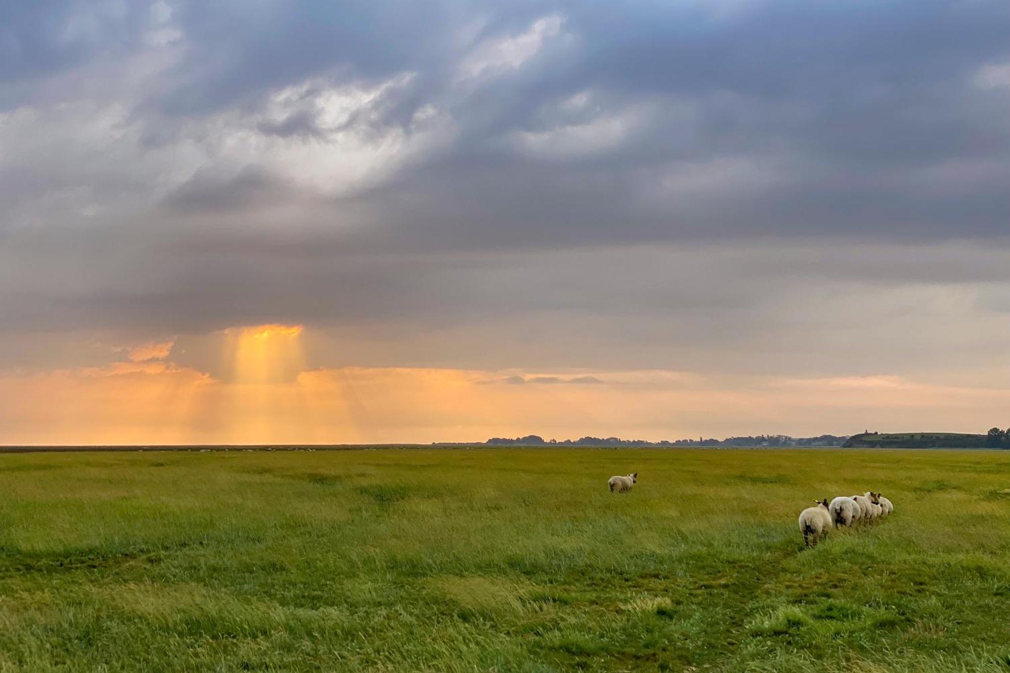 Entre Mont St Michel Et Merveille Vains Buitenkant foto